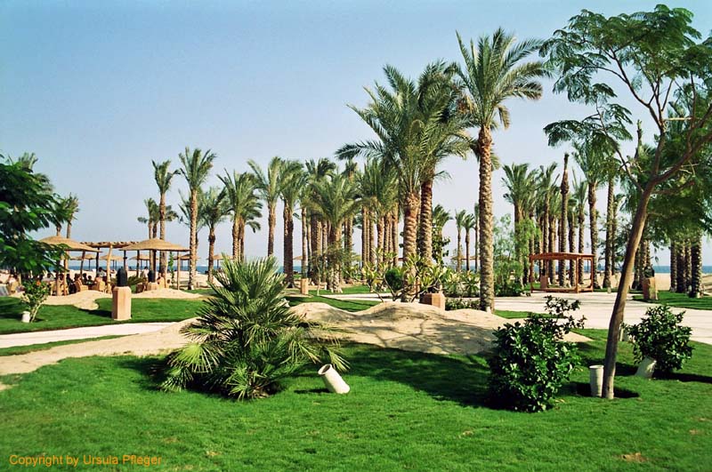 Flugreise Aegypten Anreise Hotel Bild 18