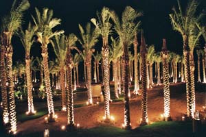 Flugreise Aegypten Anreise Hotel Bild 12